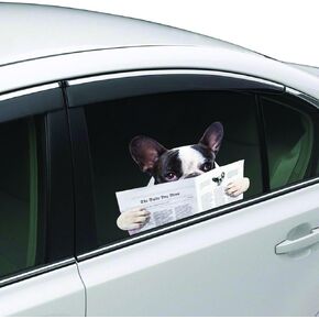 ColorBok Dog Reading Joy Riders Home Décor Accents