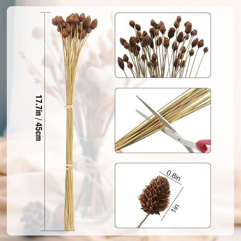 60pcs Red Dried Mini Pine Cone Ball Flowers with Stems 17" - Billy Ball Flowers for Vase, DIY Crafts and Home Decoration - Natural and Preserved Flowers for Fall, Wedding, Bridal Shower. in Saudi Arabia