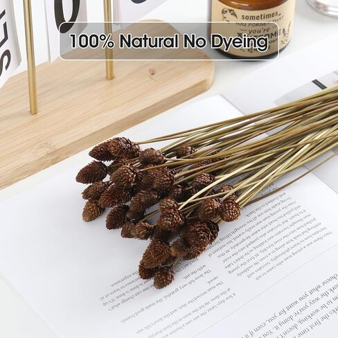 60pcs Red Dried Mini Pine Cone Ball Flowers with Stems 17" - Billy Ball Flowers for Vase, DIY Crafts and Home Decoration - Natural and Preserved Flowers for Fall, Wedding, Bridal Shower. in Saudi Arabia