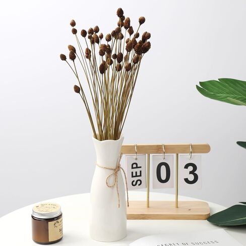 60pcs Red Dried Mini Pine Cone Ball Flowers with Stems 17" - Billy Ball Flowers for Vase, DIY Crafts and Home Decoration - Natural and Preserved Flowers for Fall, Wedding, Bridal Shower. in Saudi Arabia