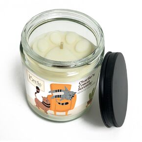 Pet Odor Eliminator Unscented Candles for Home | Scent free, Non Toxic, Odor Eliminating, Candles | 9oz Dog Odor Eliminator Candle for Home