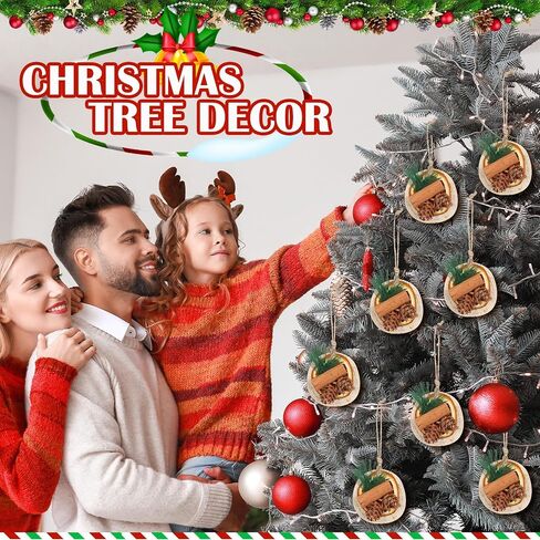 12 Pcs Christmas Tree Decorations Natural Pine Cones Rustic Ornaments Bulk Dried Orange Slices Cinnamon Sticks for Christmas Tree Home Decorations Wedding Decor (Regular Style) in Saudi Arabia
