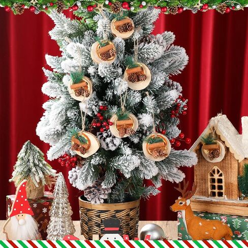 12 Pcs Christmas Tree Decorations Natural Pine Cones Rustic Ornaments Bulk Dried Orange Slices Cinnamon Sticks for Christmas Tree Home Decorations Wedding Decor (Regular Style) in Saudi Arabia