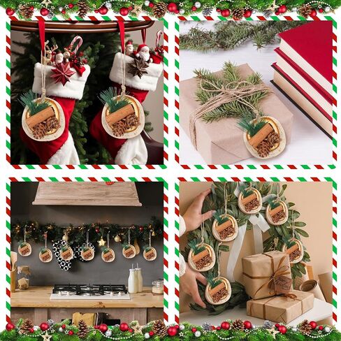 12 Pcs Christmas Tree Decorations Natural Pine Cones Rustic Ornaments Bulk Dried Orange Slices Cinnamon Sticks for Christmas Tree Home Decorations Wedding Decor (Regular Style) in Saudi Arabia