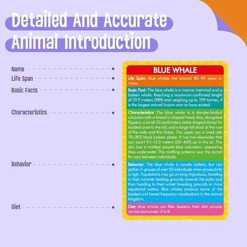 15 PCS Safari Animal Figurines with 15 Introducing Flashcards, Realistic Zoo Animal Figures Montessori Toys Science Educational Matching Game for Homeschool Preschool Toddler Kids in Saudi Arabia