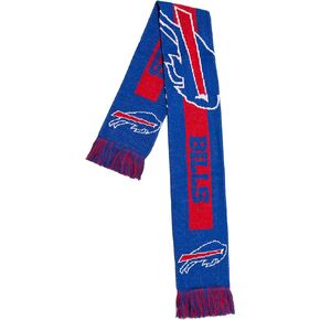 FOCO NFL (2016 Edition) Big Logo Scarf