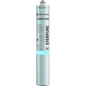 Everpure EV960601