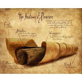 Retro Metal Tin Sign 12 X 16 Inches The Anatomy of Pleasure Cigar Poster Cigar Smoker Gifts Man Cave Decor Gifts for Fathers Funny Wall Decor Nostalgic Arts Decor Waterproof Plate Decoration Gifts