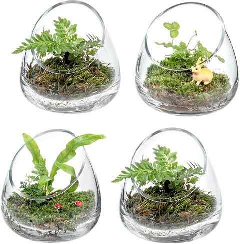 MyGift 5 Inch Premium Clear Glass Air Plant Terrarium, Mini Slant Cut Decorative Bowl Jar for Candy, Tealight Candle, Succulent Plant, Cactus, Set of 4 in Saudi Arabia
