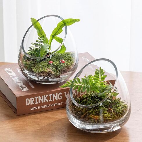MyGift 5 Inch Premium Clear Glass Air Plant Terrarium, Mini Slant Cut Decorative Bowl Jar for Candy, Tealight Candle, Succulent Plant, Cactus, Set of 4 in Saudi Arabia