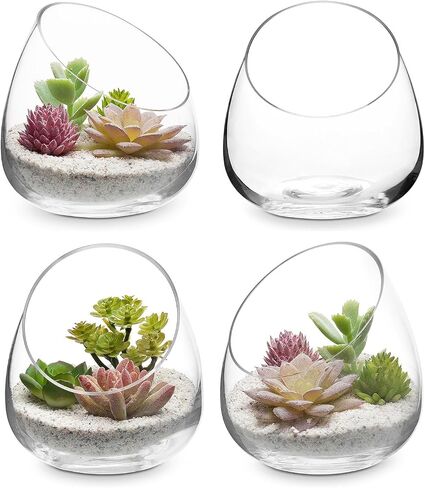 MyGift 5 Inch Premium Clear Glass Air Plant Terrarium, Mini Slant Cut Decorative Bowl Jar for Candy, Tealight Candle, Succulent Plant, Cactus, Set of 4 in Saudi Arabia