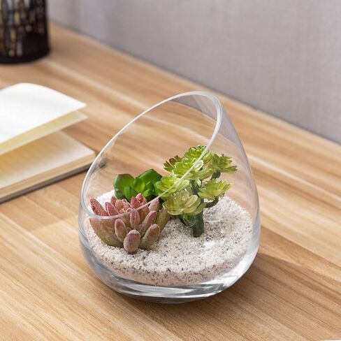 MyGift 5 Inch Premium Clear Glass Air Plant Terrarium, Mini Slant Cut Decorative Bowl Jar for Candy, Tealight Candle, Succulent Plant, Cactus, Set of 4 in Saudi Arabia