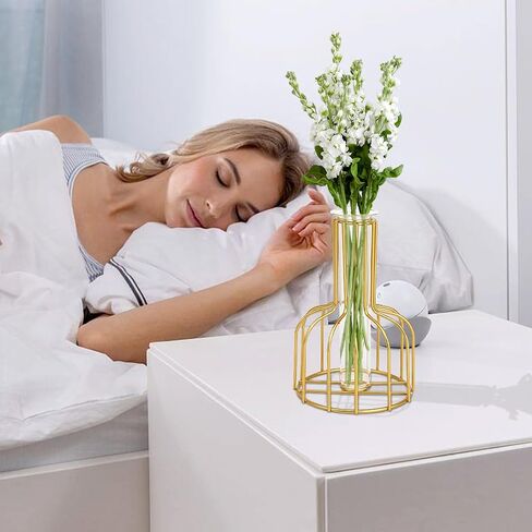 Table Flower Vase, Glass Propagation Station with Metal Frame, Geometric vases for centerpieces, Test Tube Vase for Hydroponic Plant, Small Bud Vase for Home Kitchen Office Table Top Decor(Golden) in Kuwait