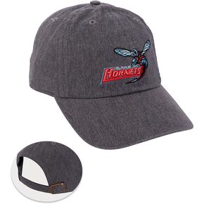 Desert Cactus Delaware State University Baseball Hat DSU Hornets Brimmed Embroirderd Cap Adjustable Cloth Strap Adult (Style A) Grey