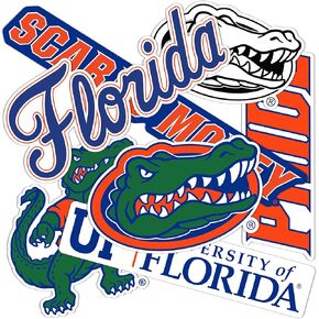 Desert Cactus University of Florida Sticker UF Gators Stickers Vinyl Decals Laptop Water Bottle Car 13.5x11 Sheet T2 (Type 2-2)