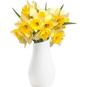 Portsea Lines Premium Clay Vase in White - Toughened Ceramic Vase - 10" Height Indoor Table Decor - Flower Vase (White)
