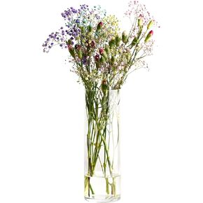 Krosno Flower Vase, 11,8 x 3,9 inch, Home Decor, Table Centerpiece, Crystalline Glass, Lead-Free, Dishwasher Safe, Made in Europe