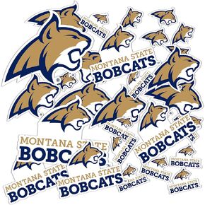 Desert Cactus Montana State University Stickers Bobcats MSU Vinyl Decals Laptop Water Bottle Car Scrapbook 11.42x8.94 Sheet T1 (Type 1-1)