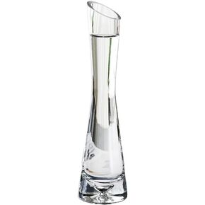 20cm/7.9inch Tall Clear Glass Thin Narrow Necked Bud Vase Slim Single Stem Flower Vase Small Skinny Floral Vase Centerpiece for Wedding Party Home Table Decor
