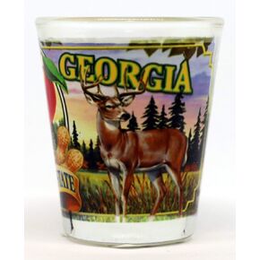 Georgia State Mural Shot Glass