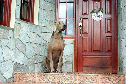 Happy Naya Welcome Sign For Front Door Decor- Front Porch Decor_ Farmhouse welcome wreaths for front door sign -12x12 wooden welcome door sign- House warming presents for New Home. in Saudi Arabia