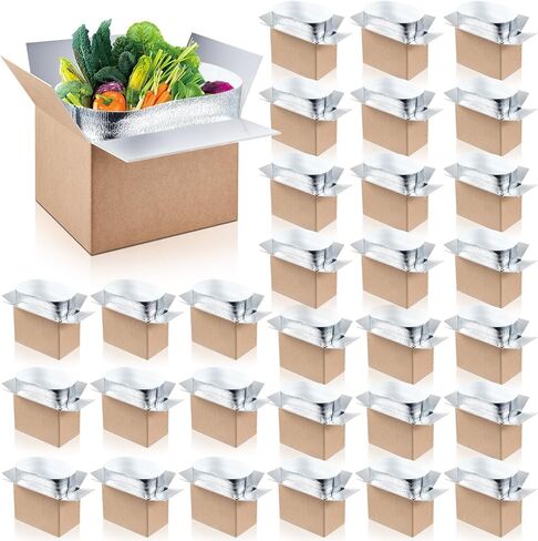 Nuanchu 10 Pieces Double Insulated Mailing Boxes with Aluminum Foil Insulated Bag Liner Cooler Small Mailing Box for Mailing Frozen Food Cold Mailing Boxes for Mailing Packing Moving, 9" x 5" x 6" in Saudi Arabia