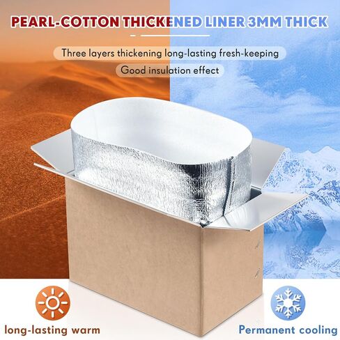 Nuanchu 10 Pieces Double Insulated Mailing Boxes with Aluminum Foil Insulated Bag Liner Cooler Small Mailing Box for Mailing Frozen Food Cold Mailing Boxes for Mailing Packing Moving, 9" x 5" x 6" in Saudi Arabia