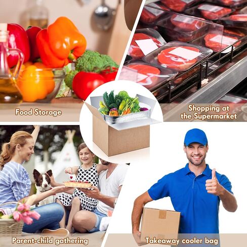 Nuanchu 10 Pieces Double Insulated Mailing Boxes with Aluminum Foil Insulated Bag Liner Cooler Small Mailing Box for Mailing Frozen Food Cold Mailing Boxes for Mailing Packing Moving, 9" x 5" x 6" in Saudi Arabia