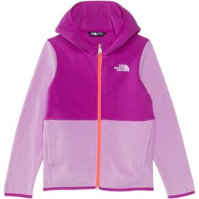 THE NORTH FACE Kids' Glacier Full Zip Hoodie, New Taupe Green, 4