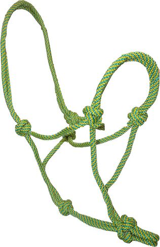 RESISTANCE Nylon Two Tone Rope Horse Halter with 9 Ft Matching Lead in Kuwait