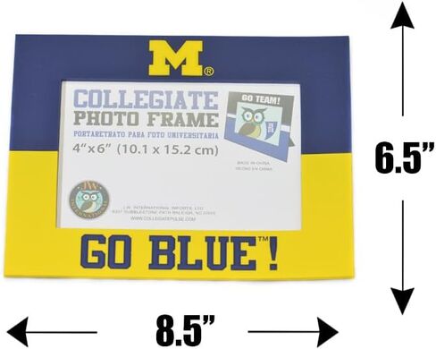 Collegiate Pulse OHIO STATE BUCKEYES PVC PHOTO FRAME in Saudi Arabia