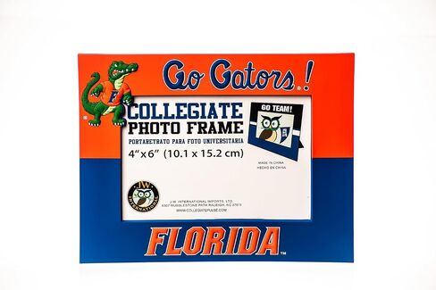 Collegiate Pulse OHIO STATE BUCKEYES PVC PHOTO FRAME in Saudi Arabia