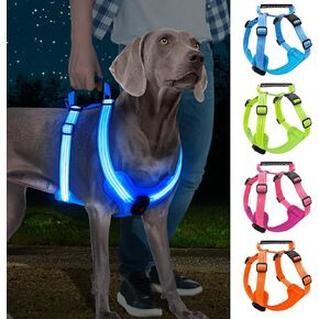 Light Up Dog Harness, Led No Pull Dog Harness with Handle Reflective Glow-in-The-Dark for Night Walking, USB Rechargeable Lighted Vest for Medium Large Dogs, Adjustable Soft Illuminated (Green, XL)