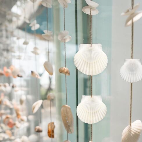 12PCS Starfish Scallop Shells for Crafts 3.5"-4.7" Large Seashells Bulk Mixed Star Fish Shells Decorations for Wedding Decor DIY Crafting Craft Making Fish Tank Home Decorations in Saudi Arabia