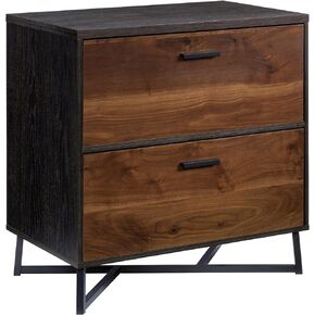 Sauder Canton Lane 2-Drawer Lateral File Cabinet in Brew Oak, L: 30.0" x W: 17.99" x H: 30.0"