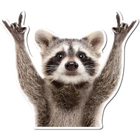 Rocking Raccoon Sticker, Funny Raccoon Cute Car Decal 5.5-Inches Decal Car Laptop Wall Window Bumper Sticker AWPS109