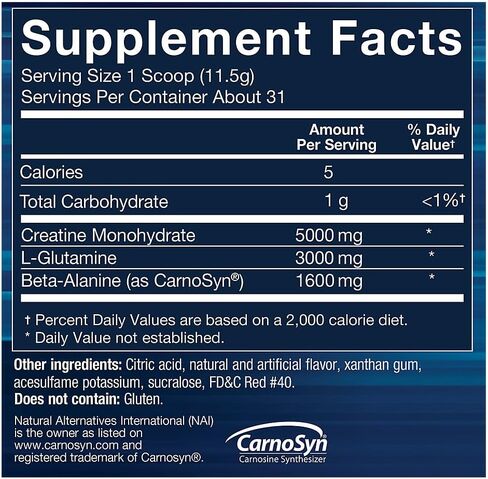 BodyTeach Creatine and Glutamine with Beta Alanine Fruit Punch - Supports Muscle Growth, Recovery and Immune Health (12.6 Ounce Powder) in Saudi Arabia