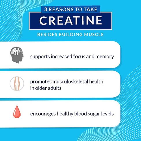 BodyTeach Creatine and Glutamine with Beta Alanine Fruit Punch - Supports Muscle Growth, Recovery and Immune Health (12.6 Ounce Powder) in Saudi Arabia