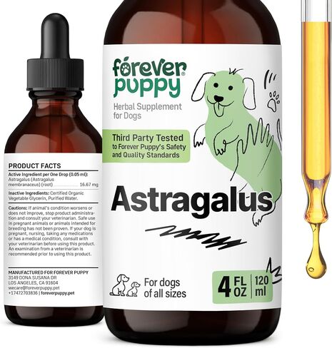 Astragalus Tincture for Dogs - Dog Immune Support Drops w/Astragalus Root - Liquid Astragalus Supplement for All Breeds & Sizes - Dog Food Supplements for Immunity - 2 oz in Saudi Arabia