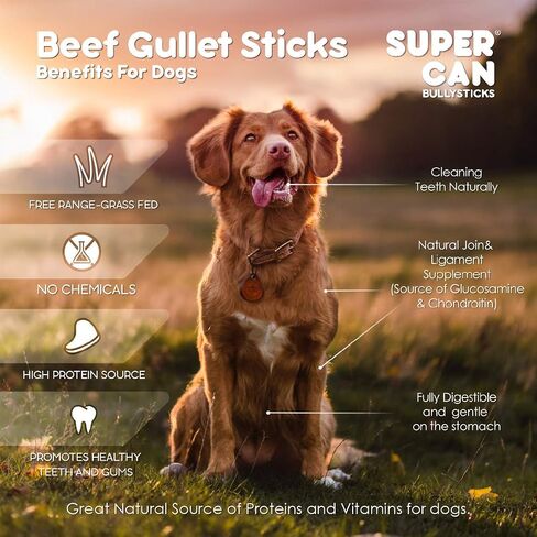 SUPER CAN BULLYSTICKS 6" Gullet Sticks (25 count) - 100% Natural Beef Esophagus Dog Jerky Treats for Small-Medium Dogs Easily Digestible Dog Chews in Saudi Arabia