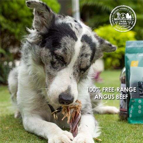 SUPER CAN BULLYSTICKS 6" Gullet Sticks (25 count) - 100% Natural Beef Esophagus Dog Jerky Treats for Small-Medium Dogs Easily Digestible Dog Chews in Saudi Arabia