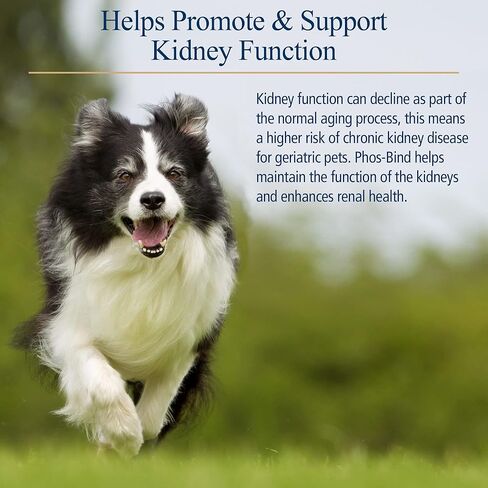 Rx Vitamins Phos-Bind - Kidney Support Supplement Powder - Phosphate Binder for Cats & Dogs for Kidney Health - Supports Normal Kidney Cleanse and Essential Kidney Care - 35g in Saudi Arabia