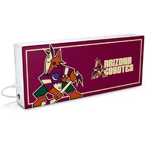 SOAR NHL LED Ambience Light Box: Elevate Your Space with Officially Licensed Wall Décor