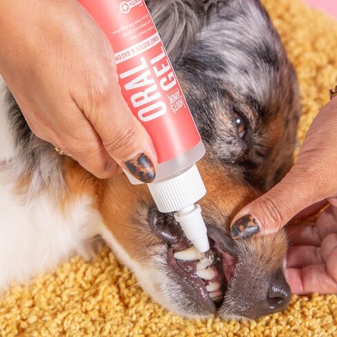 SKOUT'S HONOR: Advanced Dental Drops for Dogs & Cats 4oz in Saudi Arabia