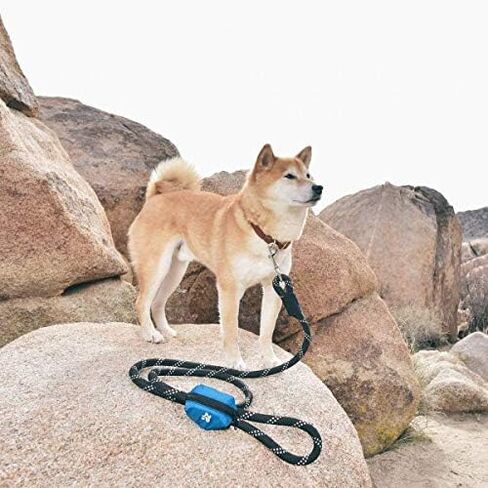 ZippyPaws Dog Poop Bag Holder Leash Attachment (Glacier Blue) in Saudi Arabia
