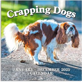 Gag Gifts - Pooping Dogs Calendar, 2024 Wall Calendar from January 2024 to December 2024, Funny Dogs Calendar, Funny Gag Gifts for Family, Friends, 11.8'' x 11.8''