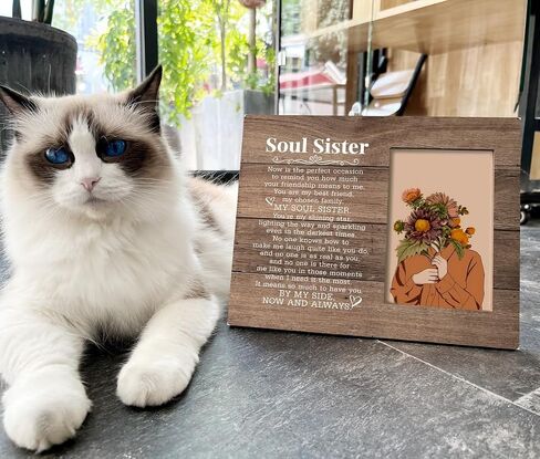 Sister In Law Gift, Picture Frame Desk Decor Gift, Sister-in-Law Photo Frame Gift for Bride In Wedding, Bonus Sister Gift for Birthday, Not Sister By Blood but Forever Sisters By Heart in Saudi Arabia