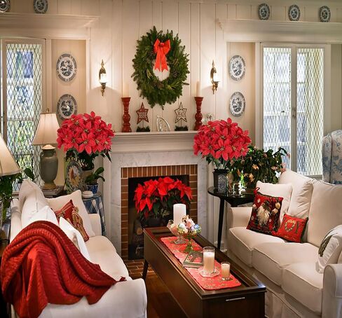 LILOCOO2PCS Artificial Poinsettia Bushes Christmas Artificial Flowers Silk Artificial Christmas Flower White Poinsettia Flower for Home Decor Indoor Outdoor Table Centerpieces Christmas Tree Ornament… in Saudi Arabia