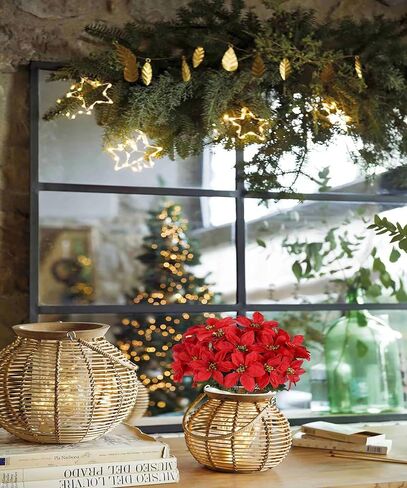 LILOCOO2PCS Artificial Poinsettia Bushes Christmas Artificial Flowers Silk Artificial Christmas Flower White Poinsettia Flower for Home Decor Indoor Outdoor Table Centerpieces Christmas Tree Ornament… in Saudi Arabia