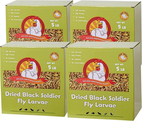 UCM Group 5LB Dried Black Soldier Fly Larvae for Chicken, Poultry, Wild Birds,No Additives, 100% Natural Non-GMO, More Calcium Chicken Treats Than Mealworms in Saudi Arabia